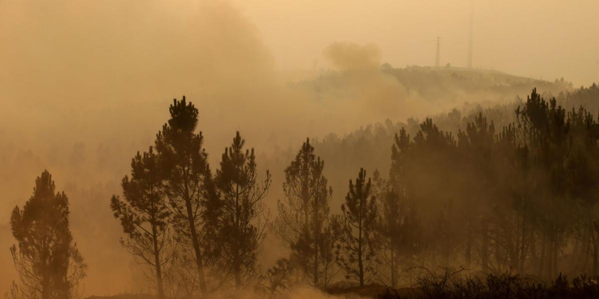 El incendio forestal en Portugal ya está controlado, aunque se han presentado 64 muertos y más de 200 heridos.