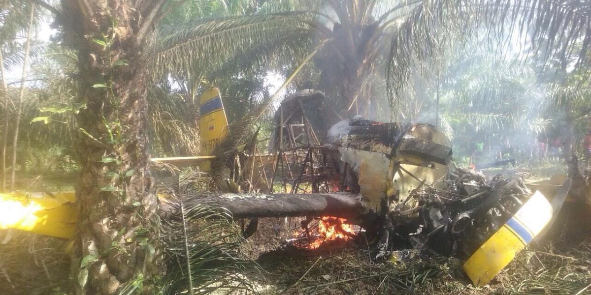 La avioneta de fumigación se precipitó a tierra tras impactar contra un árbol y se incendió.