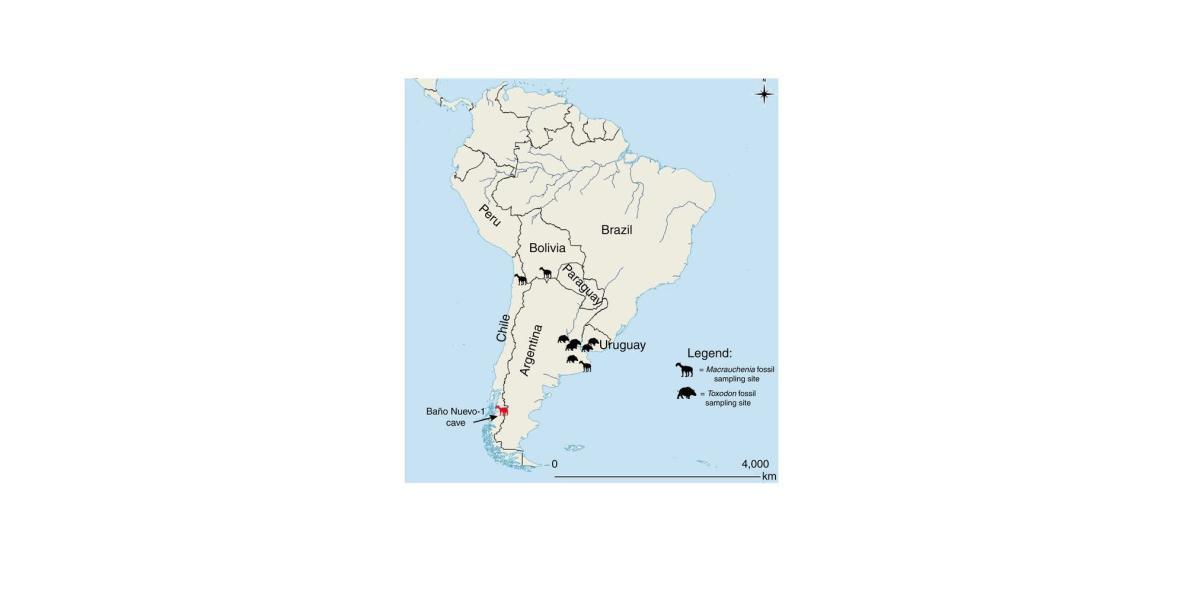 Así estaba distribuido la especie en diferentes lugares de América del Sur.