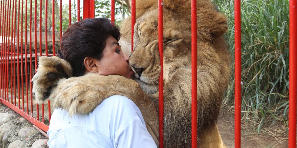 El refugio fue fundado hace 24 años por Ana Julia (foto), quien protege a los animales, entre ellos a Júpiter, un león rescatado de un circo.