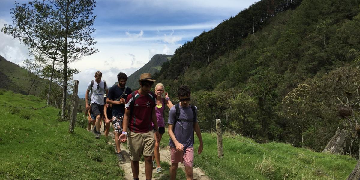 Un grupo de extranjeros camina en el Valle del Cocora, en Salento (Quindío).