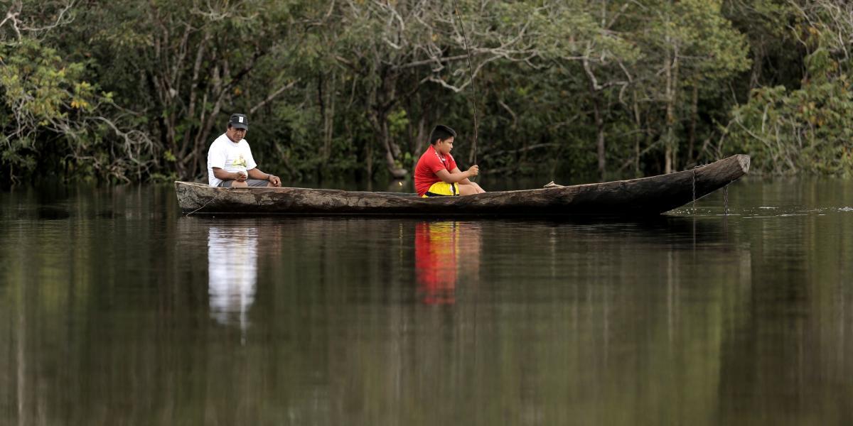 La pesca ornamental es una de las actividades económicas más importantes para los indígenas que viven en la Estrella Fluvial.