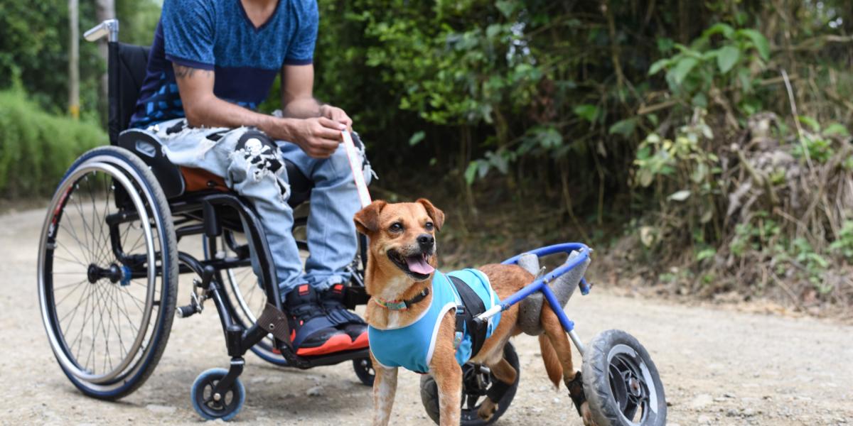 Jorge Eduardo Osorio visitó el refugio y ahora quiere adoptar un perro como ‘Confite’, que está en condición de discapacidad.