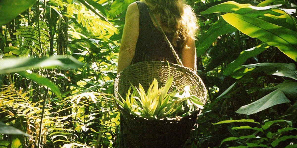 Val es una mujer de 80 años que decidió aventurarse a vivir en la selva amazónica, luego de pasar por una tragedia familiar.