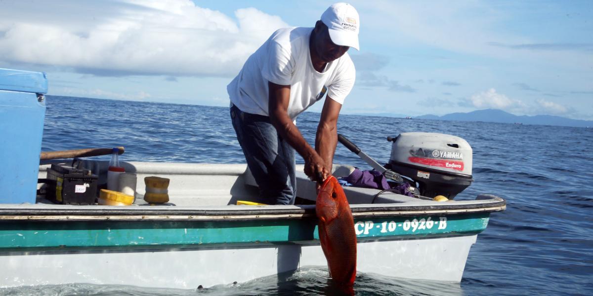 Los pescadores de Bahía Solano, en Chocó, serían los principales beneficiados con la ‘apps’ para vender pescado.