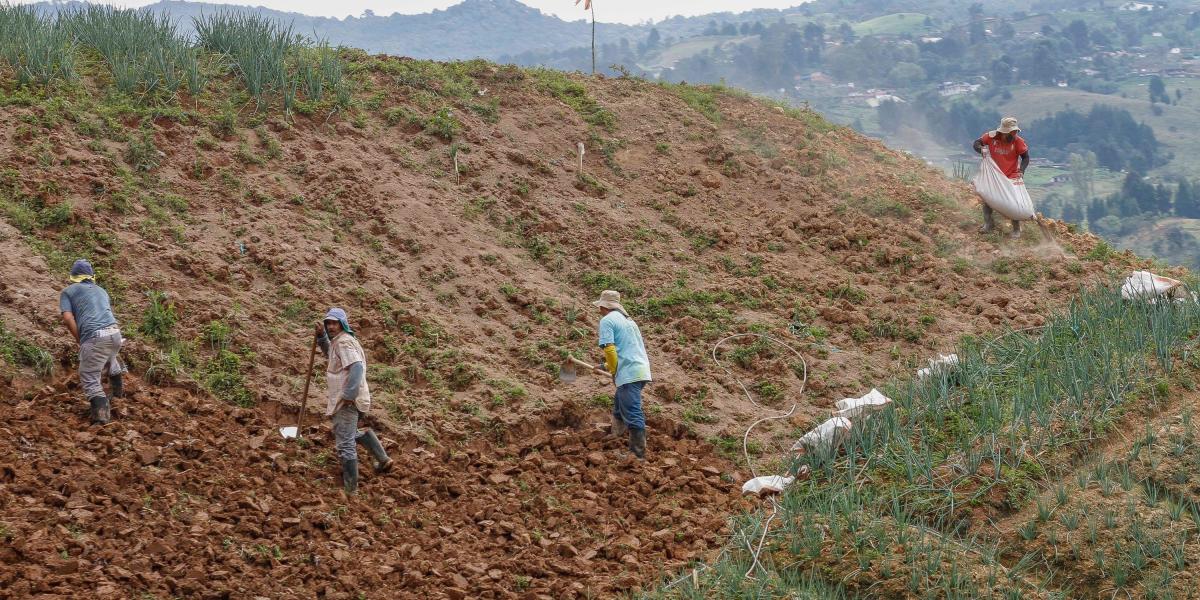 Algunos agricultores de corregimientos de Medellín también están en riesgo debido a la expansión poblacional.