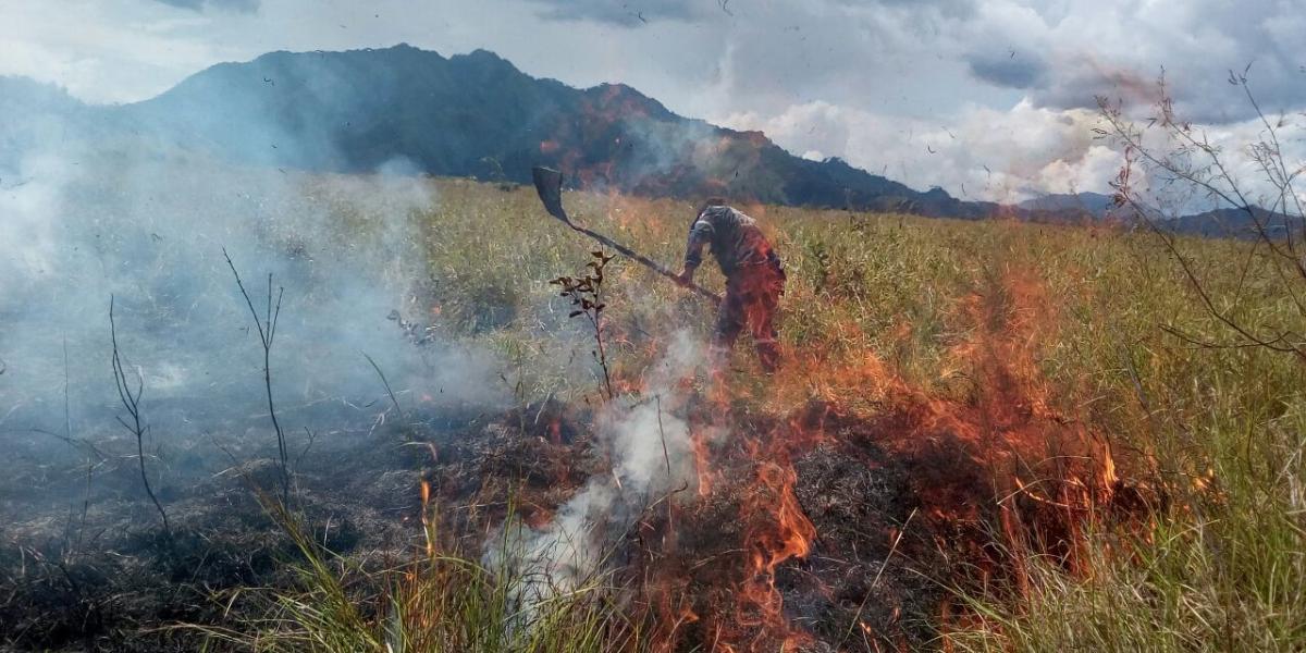En el 2015 se presentaron los incendios arrasaron 18.790 hectáreas, mientras que en 2016 van 7.539 hectáreas.