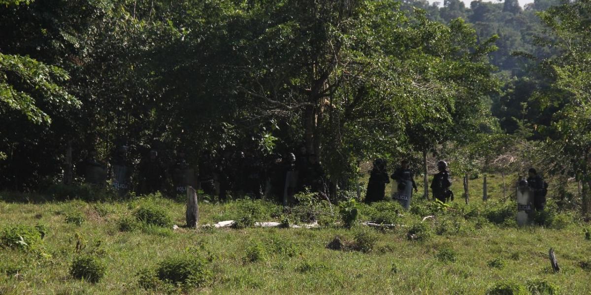 Unidades del Escuadrón Móvil Antidisturbios (Esmad) escoltan los grupos de erradicadores del Gobierno Nacional que pretenden limpiar las 24.000 hectáreas de coca registradas en Norte de Santander.