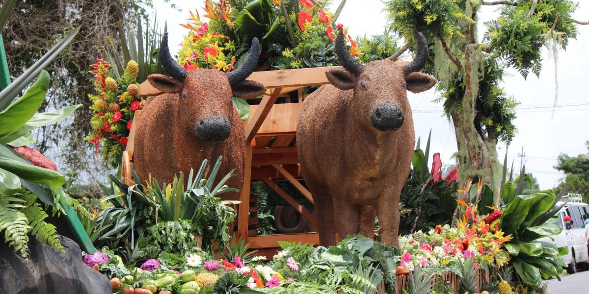 Una carroza con figuras de animales y plantas construidas con flores de todos los colores desfiló ayer, 17 de septiembre de 2017, en la localidad de Volcán (Panamá).