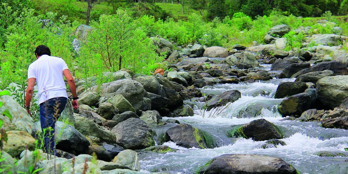 La Reforestadora Andina S.A., fue sancionada por “afectación ambiental" en las quebradas Pizarra y La Cristalina en la vereda río Azul de Pijao.
