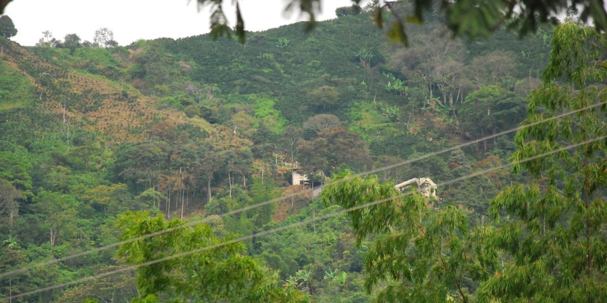 Los términos y puntos que afectaban la riqueza ambiental de Ibagué fueron detectados y demandados.