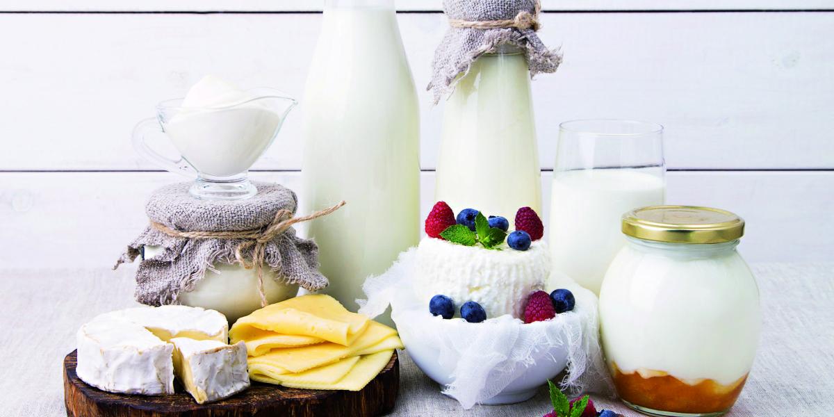 La posibilidad de que la enzima funcione a temperaturas más bajas permitirá que las personas intolerantes a la lactosa puedan encontrar en el mercado mayor variedad de productos derivados, como leche en polvo, quesos y yogures.
