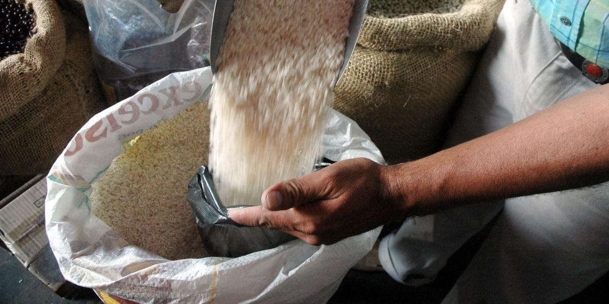 En los últimos seis años, por el TLC han entrado a Colombia 500.134 toneladas de arroz.