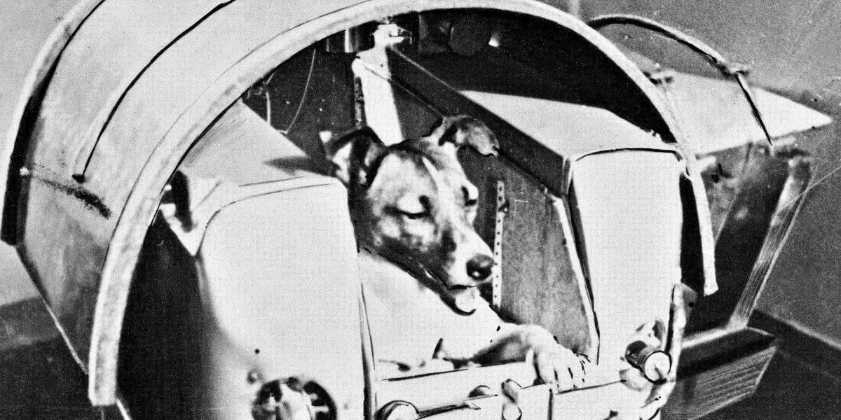 La perra Laika, a bordo de la nave rusa Sputnik II.