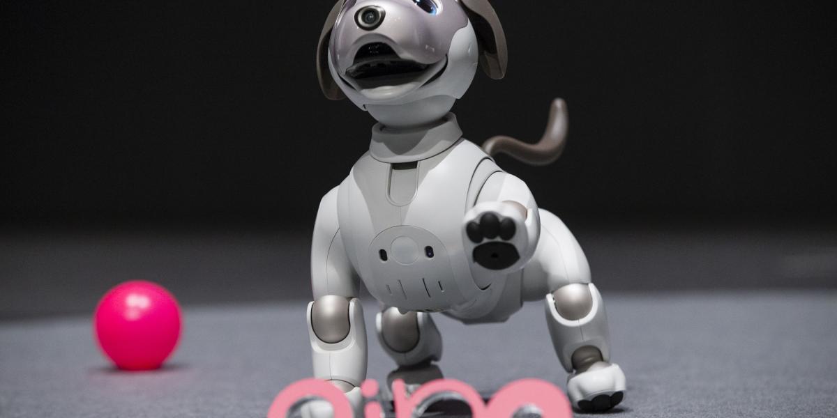 Aibo es una mascota robot que se conecta a redes móviles y ladra y se sienta como un perro normal.
