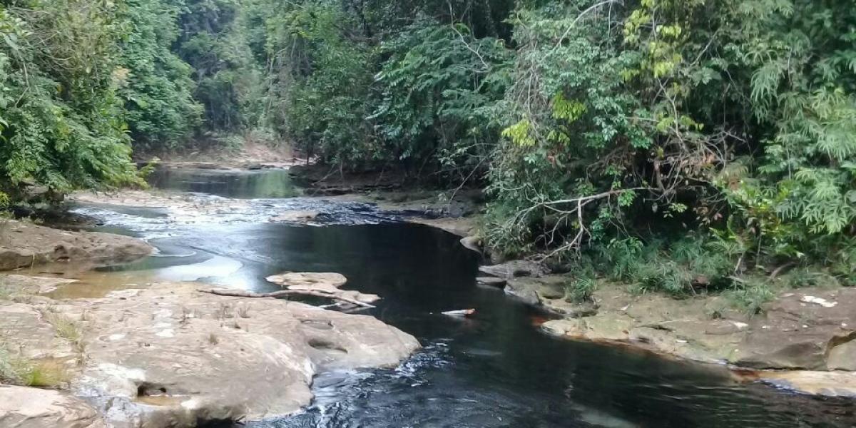 La emergencia produjo una mancha de crudo que se extendió por los caños Luna y Victoria, cuyas aguas nutren al río Nuevo Presidente, en la región del Catatumbo.