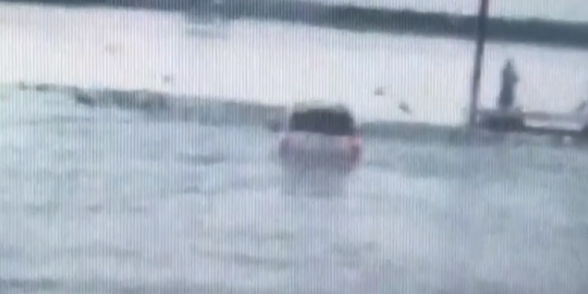 Conductor ebrio terminó en un lago cuando intentaba escapar