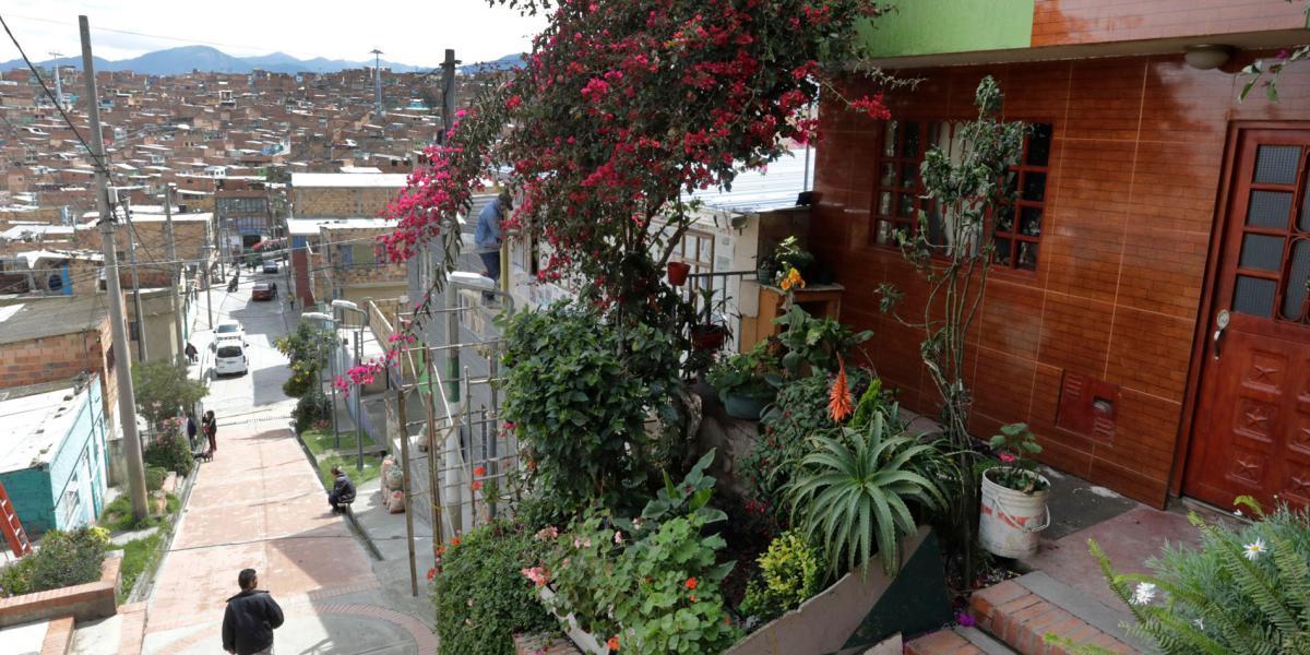 La casa de Amparo se destaca en su barrio, que carece de verde, por el color de las flores de su buganvilia y por el jardín que ubicó en el frente de su vivienda.