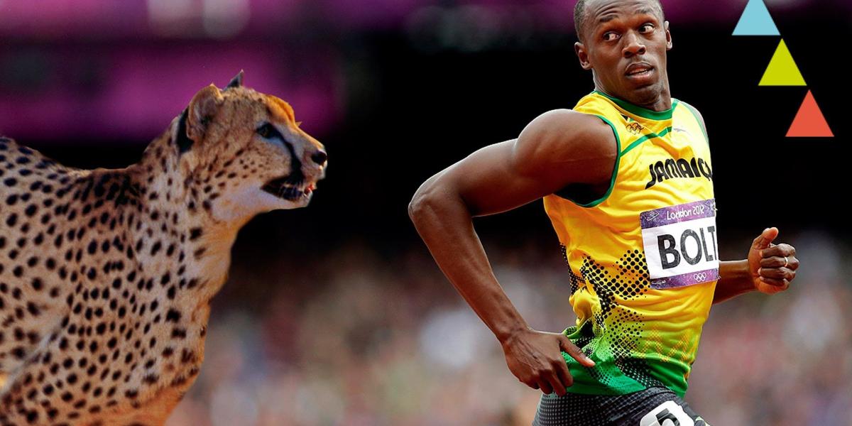 Diez animales que corren más rápido que Usain Bolt