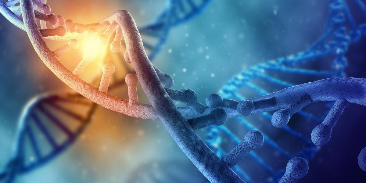Un mejor editor de material genético, este año, un nuevo avance ha mejorado enormemente la potencia de las herramientas de edición genética, llamadas CRISPR, que permiten editar las letras del material genético y tratar de curar enfermedades.