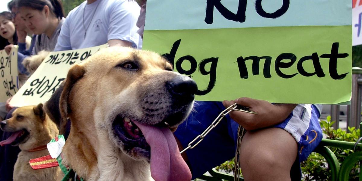 Manifestantes se pronuncian en las calles de Seul contra el consumo de carne de perro.