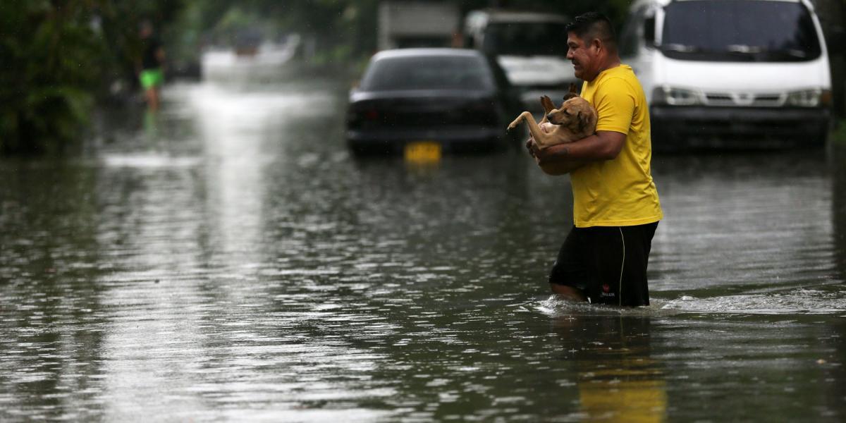 Los animales no fueron ajenas a las inundaciones en el barrio Jorge Ekiecer Gaitán.