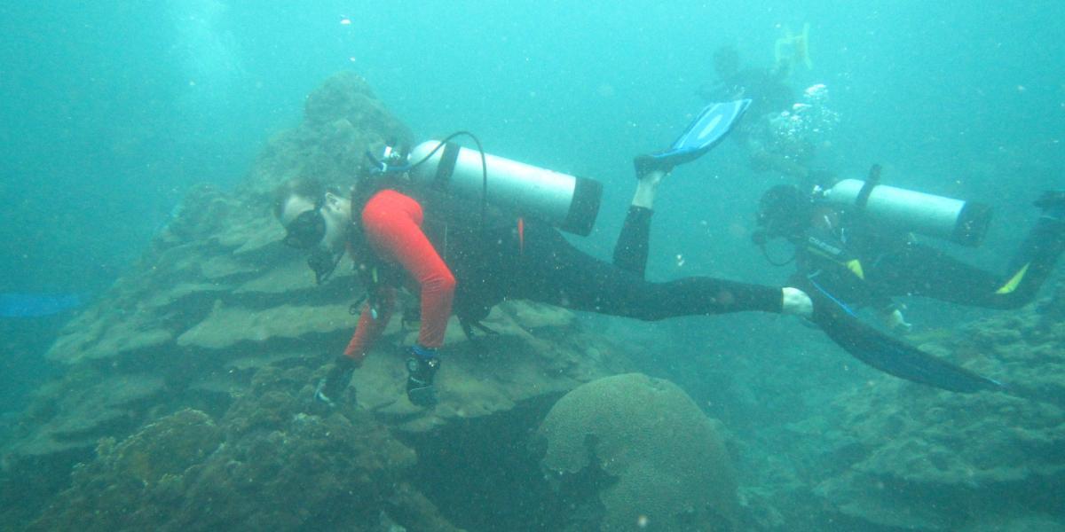 El arrecife coralino de Varadero sobrevive en un ambiente inusual, con sedimentación, contaminación y aguas turbias.