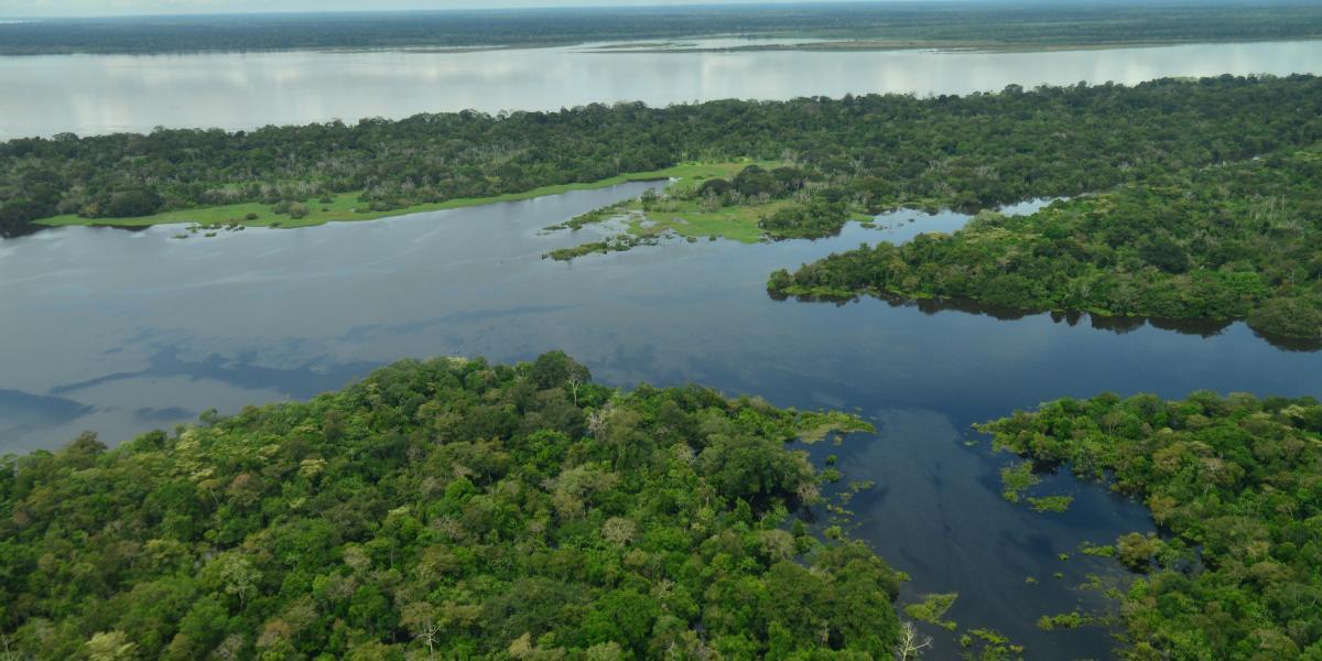 En total son más de 45.000 hectáreas que son declaradas como sitio Ramsar.