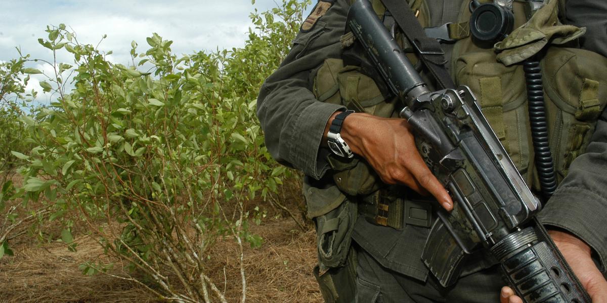 Los carteles de ‘los Zeta’, Sinaloa y Jalisco-Nueva Generación mandaron gente a las zonas de mayor concentración de narcocultivos.