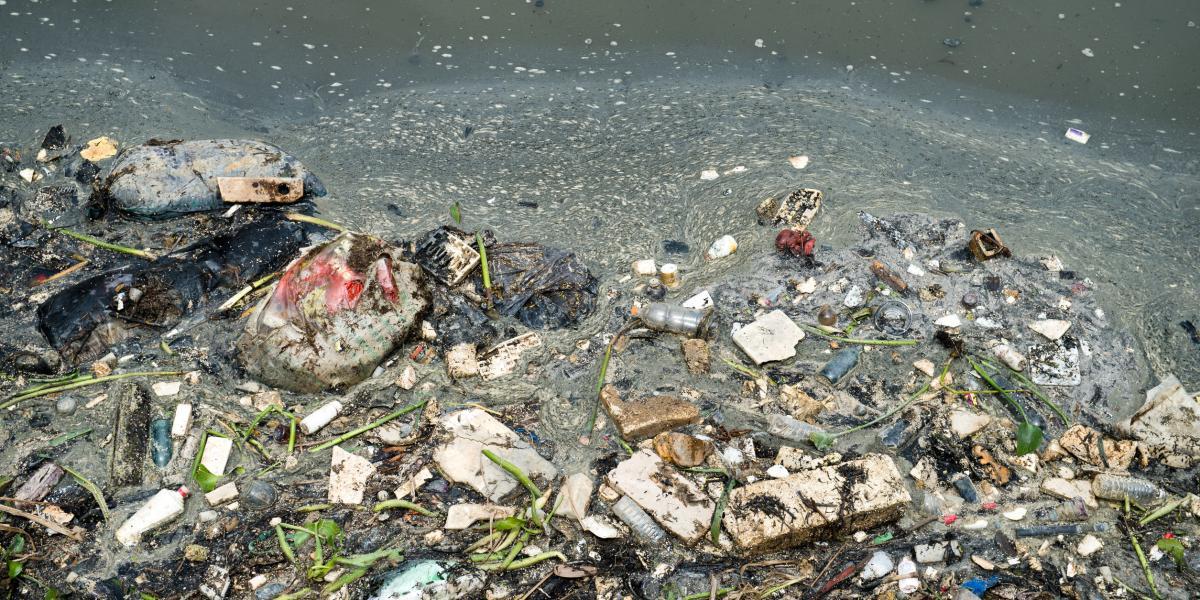 1-	El estudio de la contaminación de los ríos, fue realizado por el Environmental Research de Leipzig, Alemania. Se analizó los datos de desechos de 79 lugares, a lo largo de 57 ríos. La mayoría de ríos contaminados por plástico que desemboca en los océanos, se encuentran en Asia.