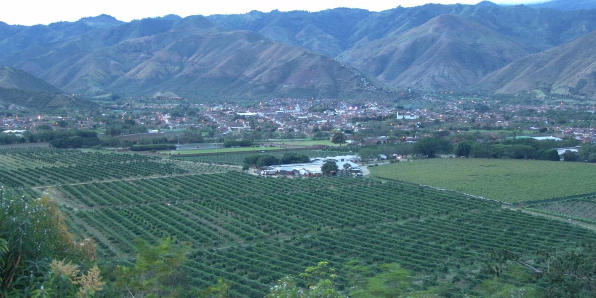 El desarrollo agrícola es una de las fortalezas del Valle del Cauca.