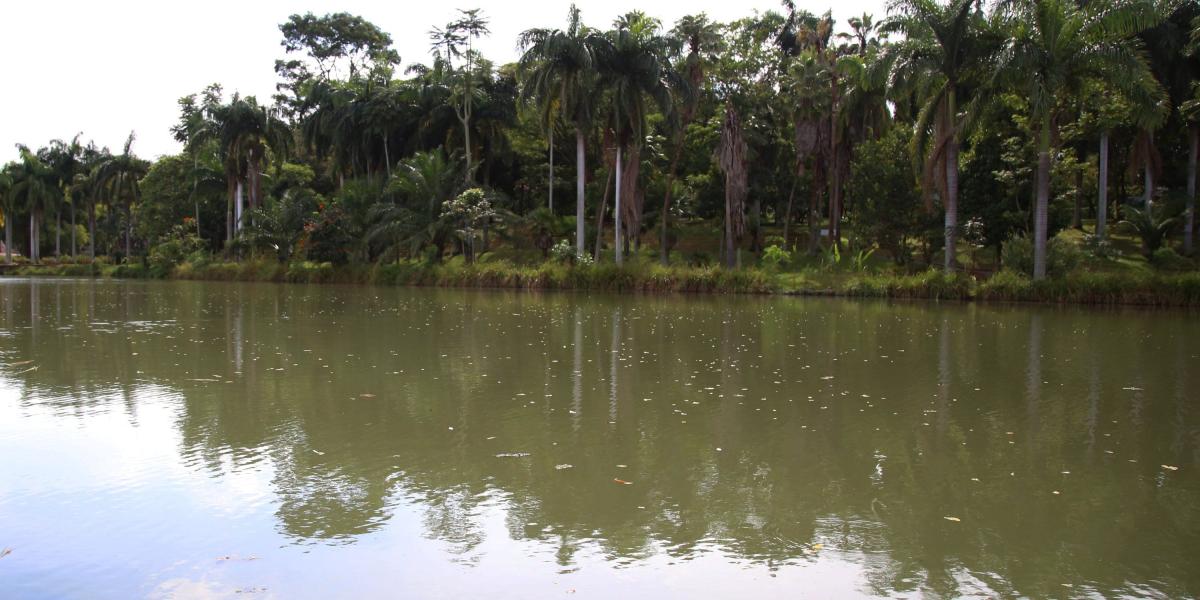 El humedal del lago de La Babilla es uno de los que se va a proteger