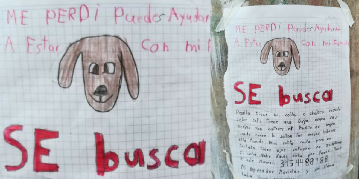 Este es el cartel que Víctor elaboró para buscar a su perrita Lulú.