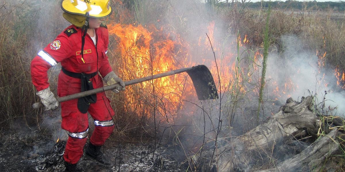 La principal causa de los incendios son las quemas que están asociadas al incremento de tala masiva.