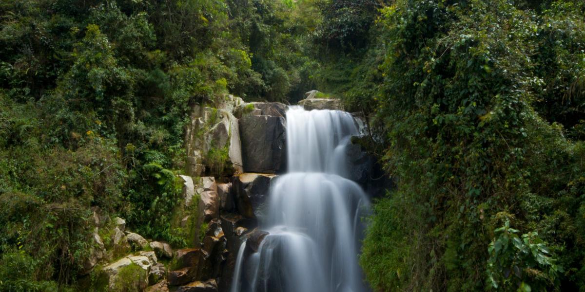 Antioquia cuenta con 640.439 hectáreas de áreas protegidas, que albergan la mayor parte de la biodiversidad de la región y algunas de estas todavía no han sido exploradas.