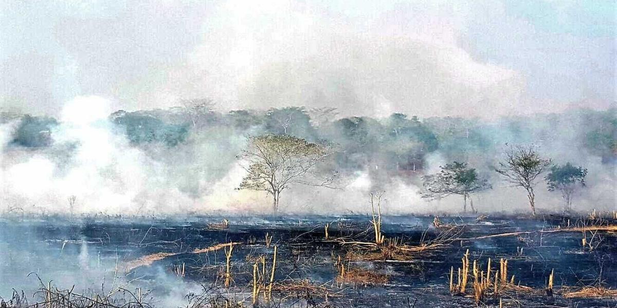 Solo en Sincelejo,se han sido atendidos 150 incendios de capa vegetal por parte del cuerpo de bomberos de la capital sucreña.