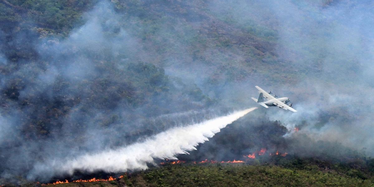 En el parque La Macarena se afectaron cerca de 3.500 hectáreas en este comienzo de año debido a los incendios forestales en la región.