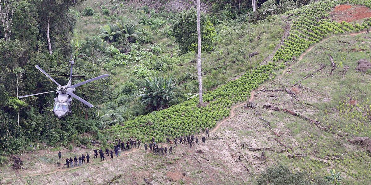 Erradicación de coca en Tumaco, Nariño. Para el 2016 se registraron 23.148 hectáreas de cultivos de coca en Tumaco.