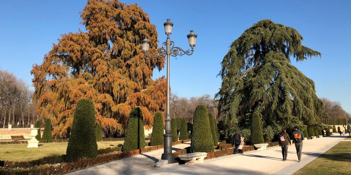 El Retiro es uno de los atractivos naturales de Madrid. Ideal para un paseo primaveral.