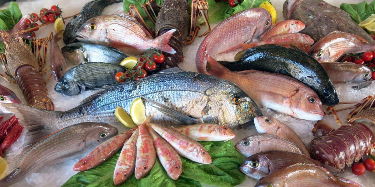 Los pescados son una fuente de proteínas, vitaminas y minerales con un bajo contenido calórico, importante para el cuerpo.