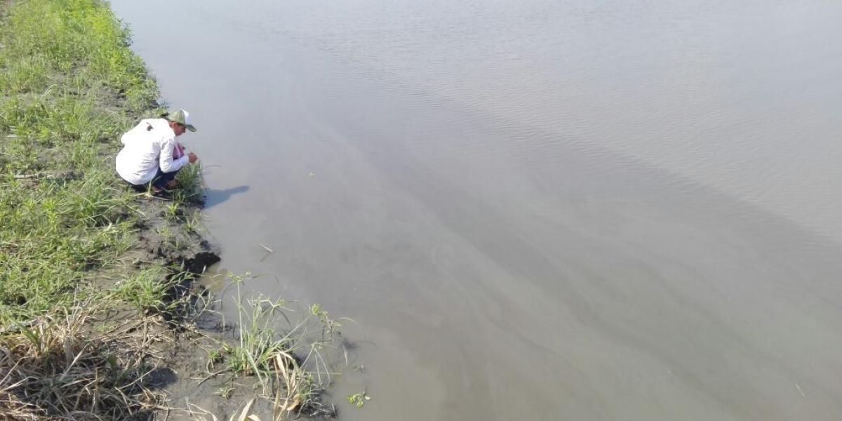 Comunidades del municipio de Cantagallo, ubicado sobre el río Magdalena, denunciaron una viscosidad sobre el afluente, que recibe las aguas del río Sogamoso, contaminadas por el fluido.
