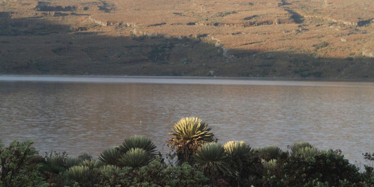 Laguna de El Tunjo, una de las que más impacto negativo han tenido con la llegada de visitantes.