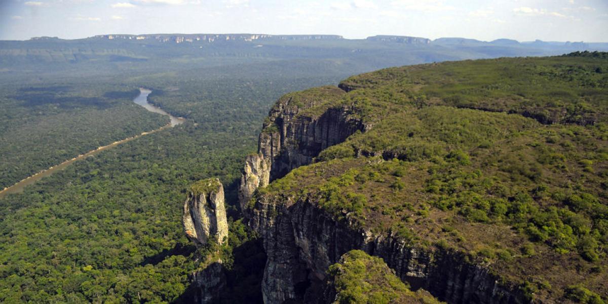 La Amazonia colombiana concentra el 67 por ciento de la superficie de bosque total del país. En el 2016, 70.074 hectáreas fueron arrasadas.