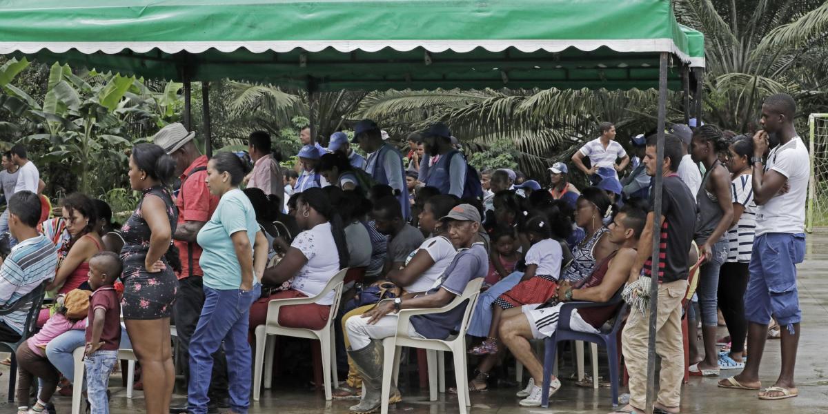 65 Mil Millones De Pesos Para Familias Que Sustituyeron Coca En Tumaco 9001