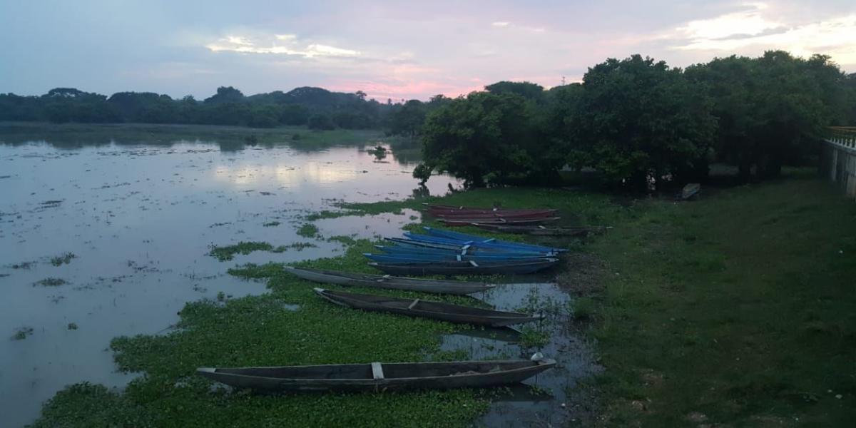 Ciénaga de Zapatosa es el húmedal Ramsar N° 10 de Colombia
