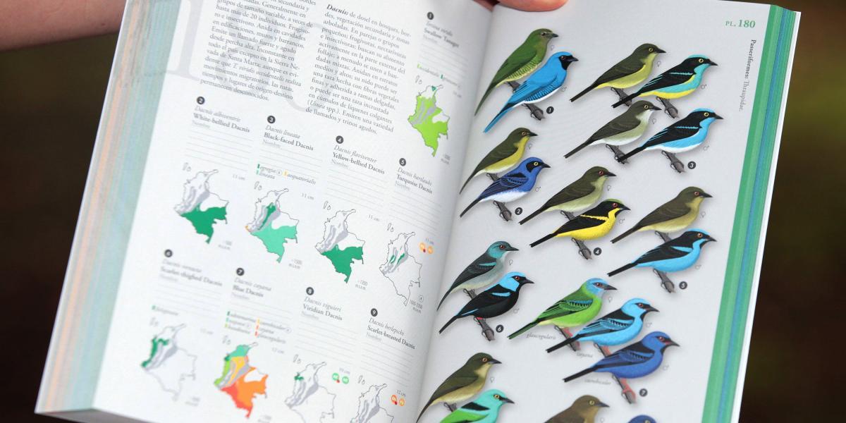 La guía ilustrada de aves tiene las imágenes dibujadas en acuarela.