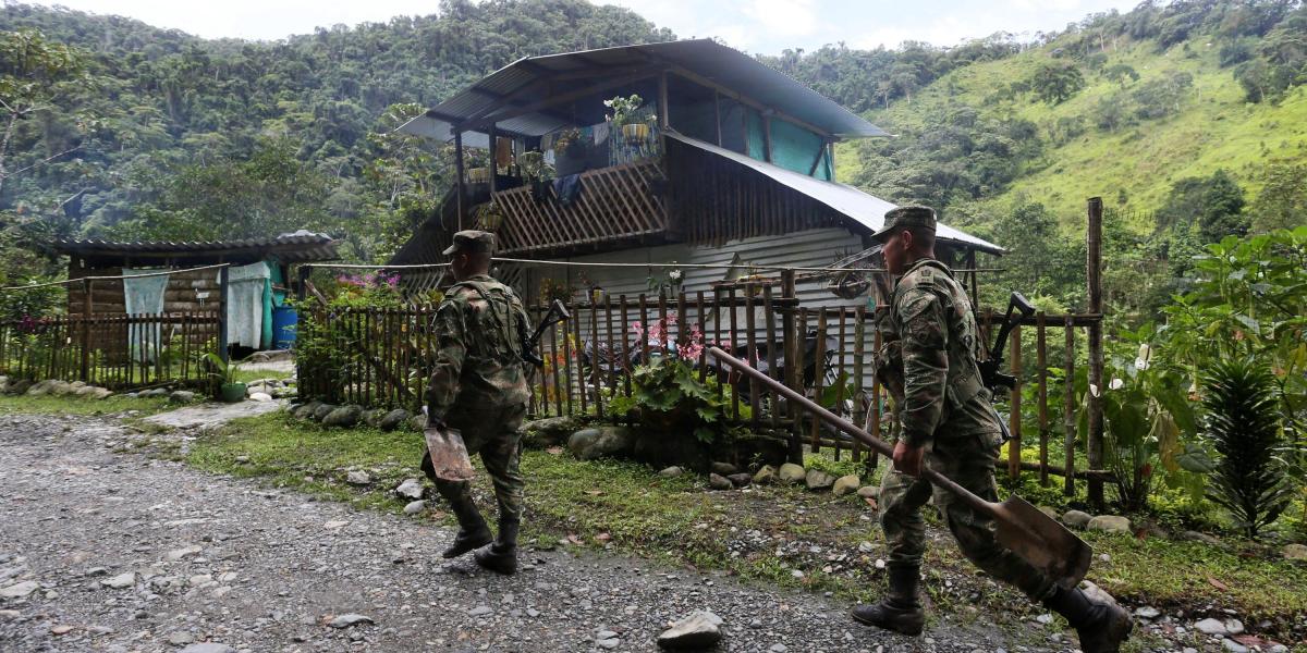 Soldados de la Tercera Brigada son quienes llegan hasta lugares remotos como La Cascada, en Dagua, para acabar con las plantas de coca.