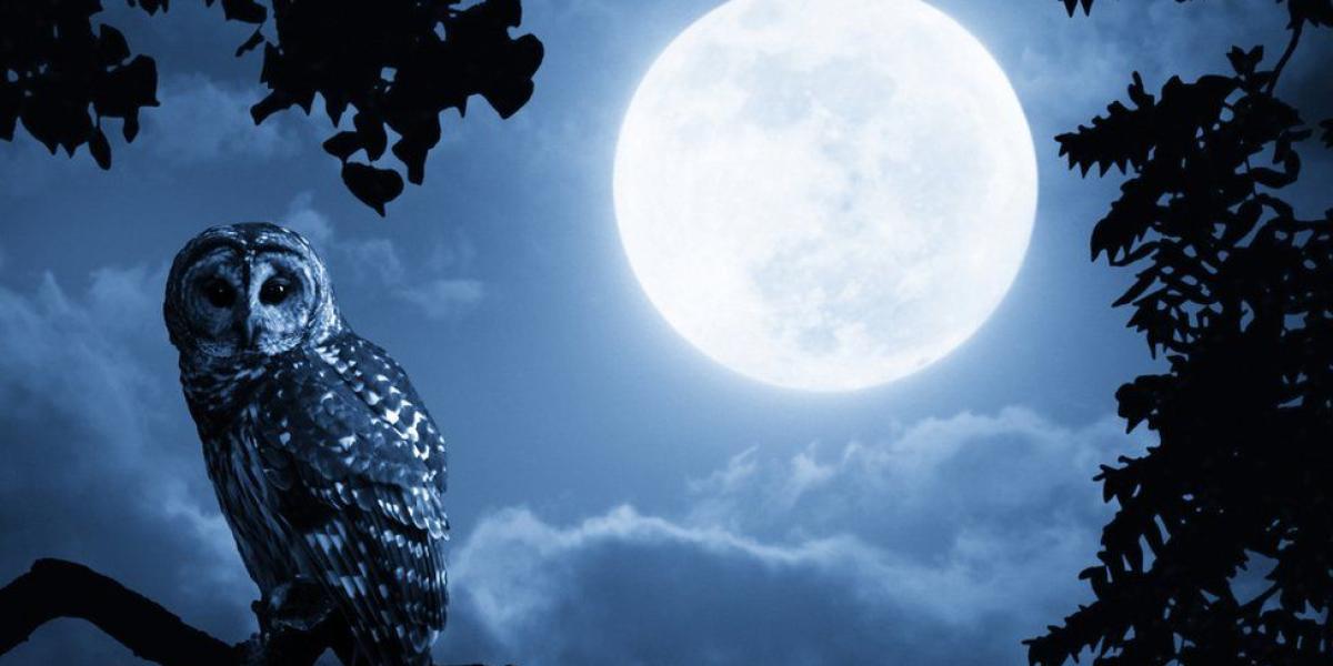 La Luna llena ha inspirado muchos mitos populares