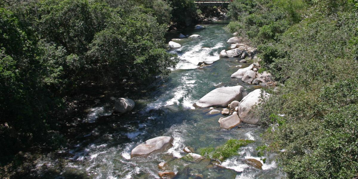 El proyecto hidroeléctrico Miel 2 estaría ubicado en el oriente de Caldas.