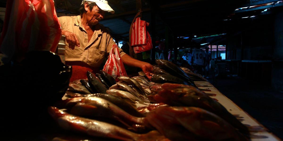Los vendedores de pescado reclaman iluminación de su área, así como la reconstrucción de las mesas en donde exponen sus productos.
